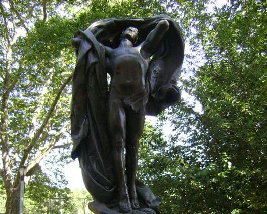 img-8